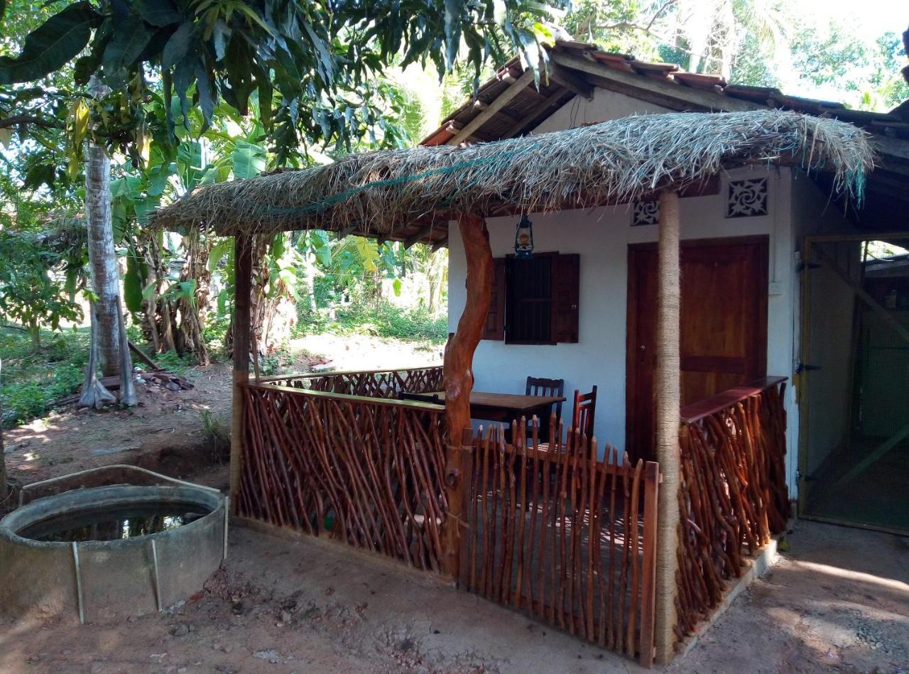 Mango Shade Hotel Dickwella Exterior photo
